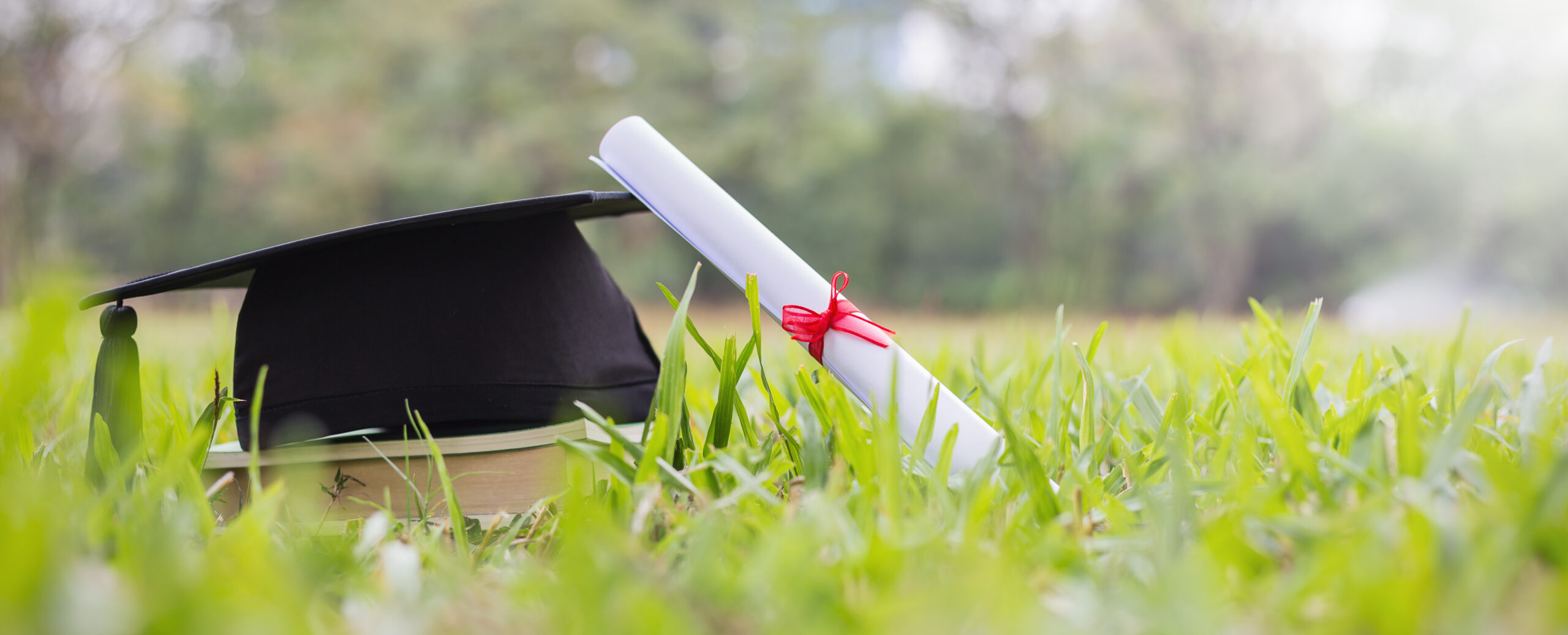 certificate-paper-and-black-cap-on-green-grass-spr-2026-03-26-03-34-27-utc